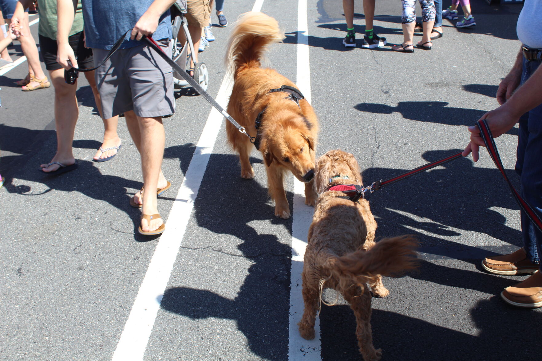 Margate Fall Funfest By The Bay_6044.JPG
